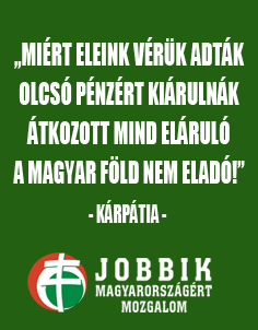 az_anyafold_nem_eldo.png